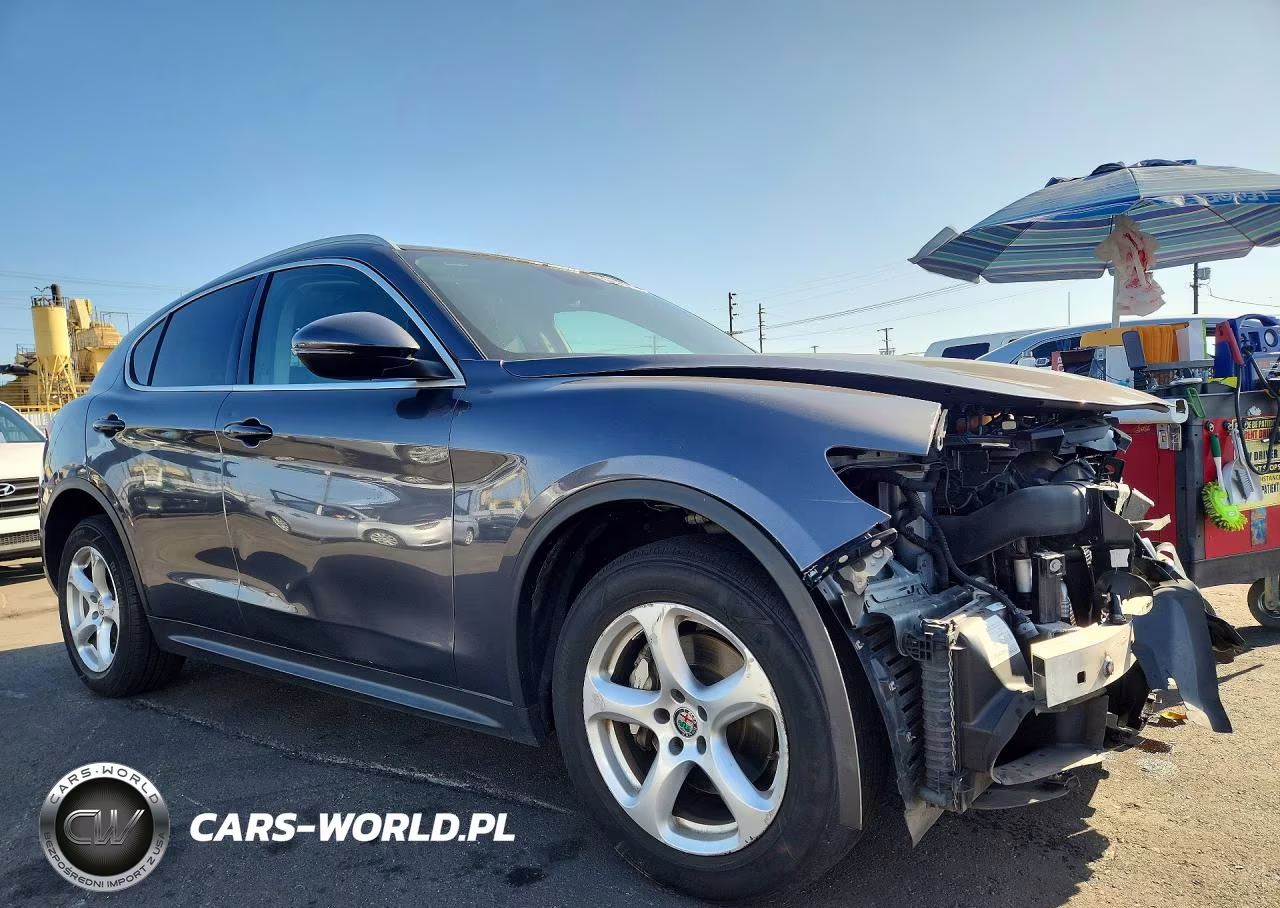 2018 Alfa Romeo Stelvio VIN:ZASFAKAN4J7C25938 - 4