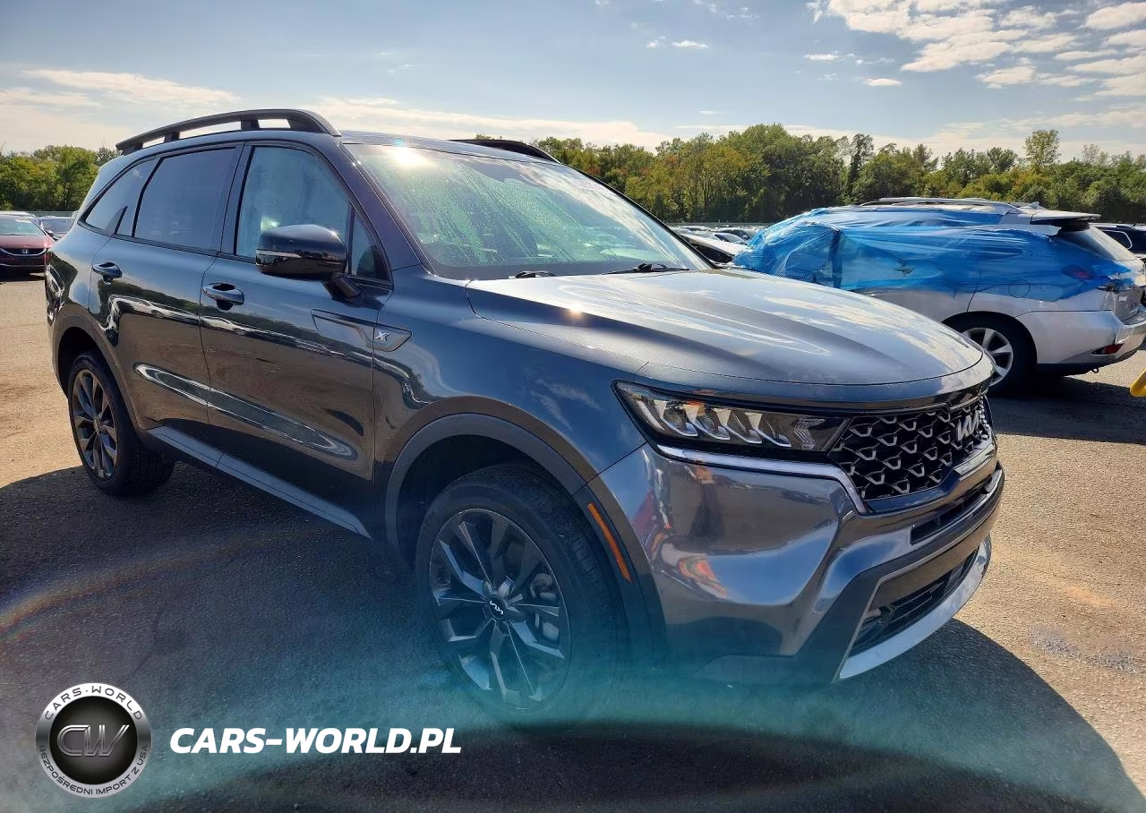 2022 Kia Sorento Ex VIN:5XYRHDLF5NG142210 - 4