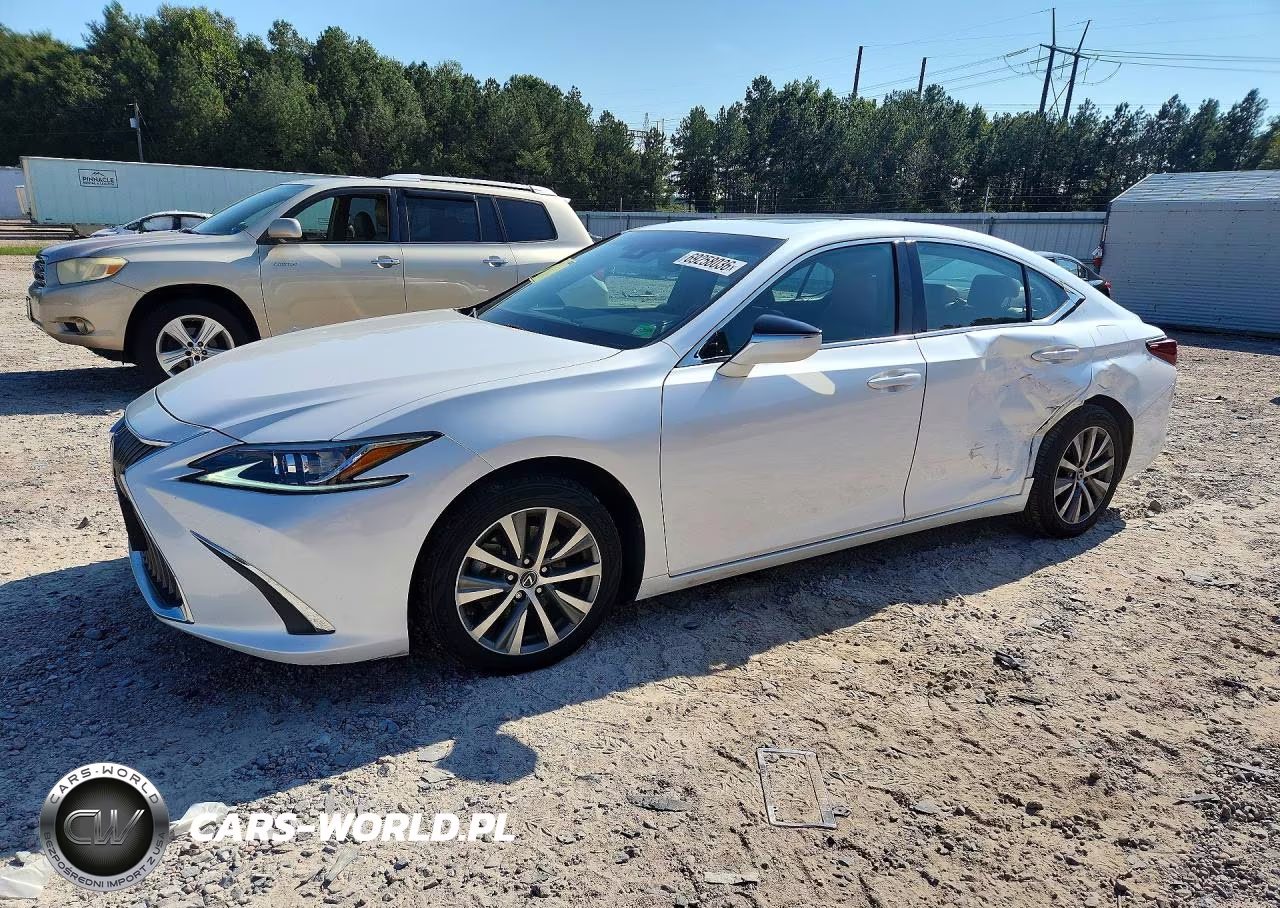 2021 Lexus Es 250 Base VIN:58AD11D16MU002149 - 1