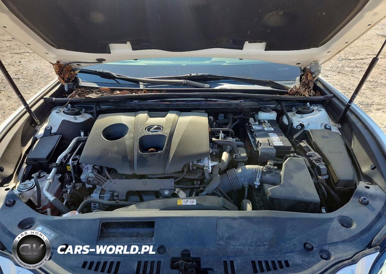2021 Lexus Es 250 Base VIN:58AD11D16MU002149 - 11