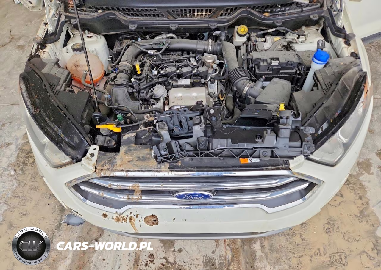 2021 Ford Ecosport Titanium VIN:MAJ3S2KE0MC404695 - 11
