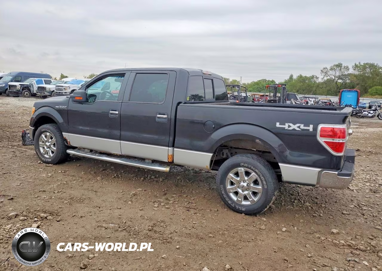 2010 Ford F150 Supercrew VIN:1FTFW1EV3AFD65368 - 2