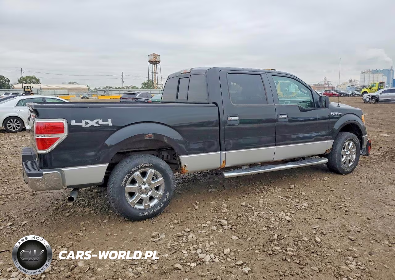 2010 Ford F150 Supercrew VIN:1FTFW1EV3AFD65368 - 3