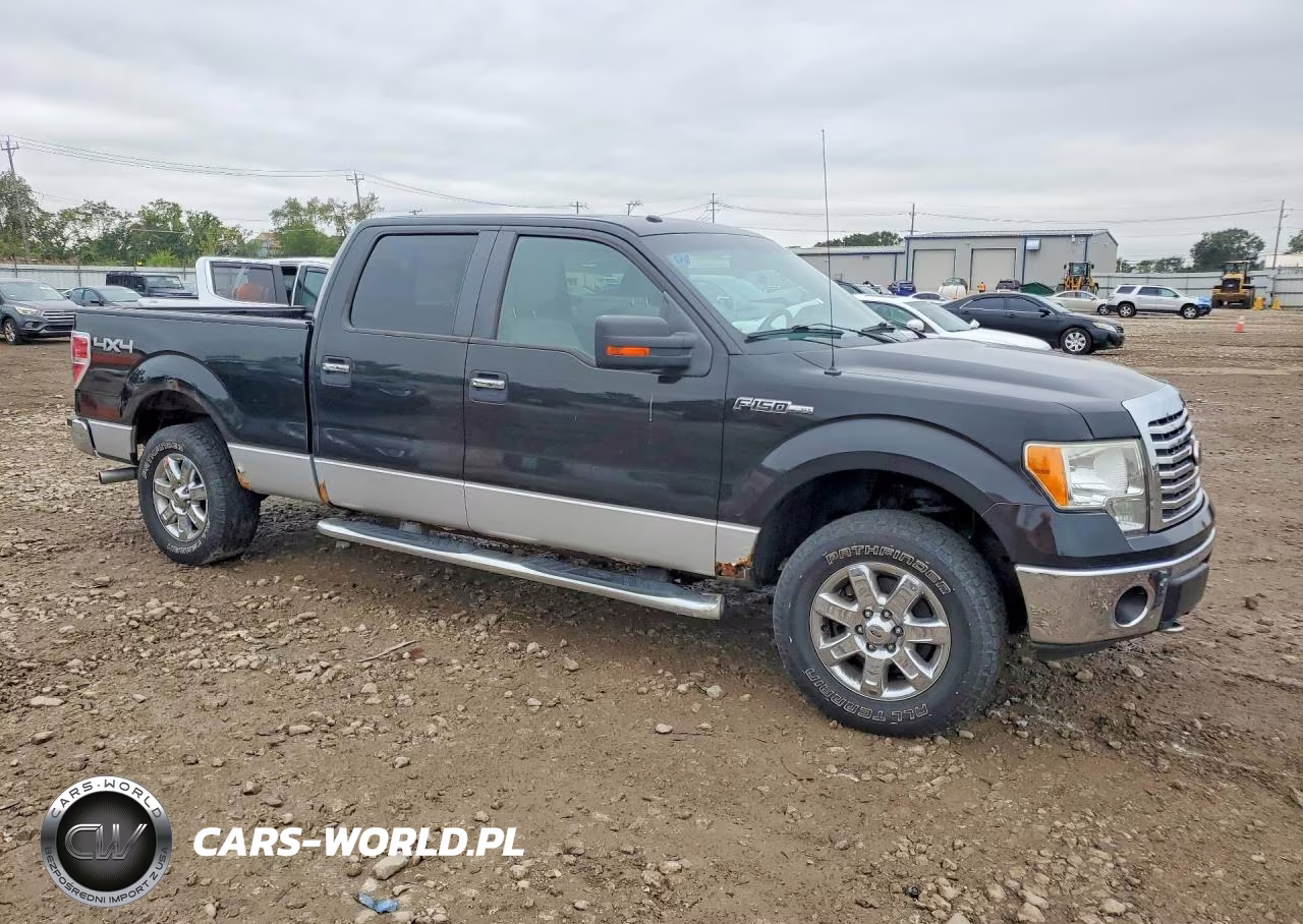 2010 Ford F150 Supercrew VIN:1FTFW1EV3AFD65368 - 4