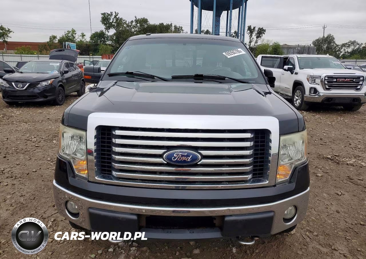 2010 Ford F150 Supercrew VIN:1FTFW1EV3AFD65368 - 5