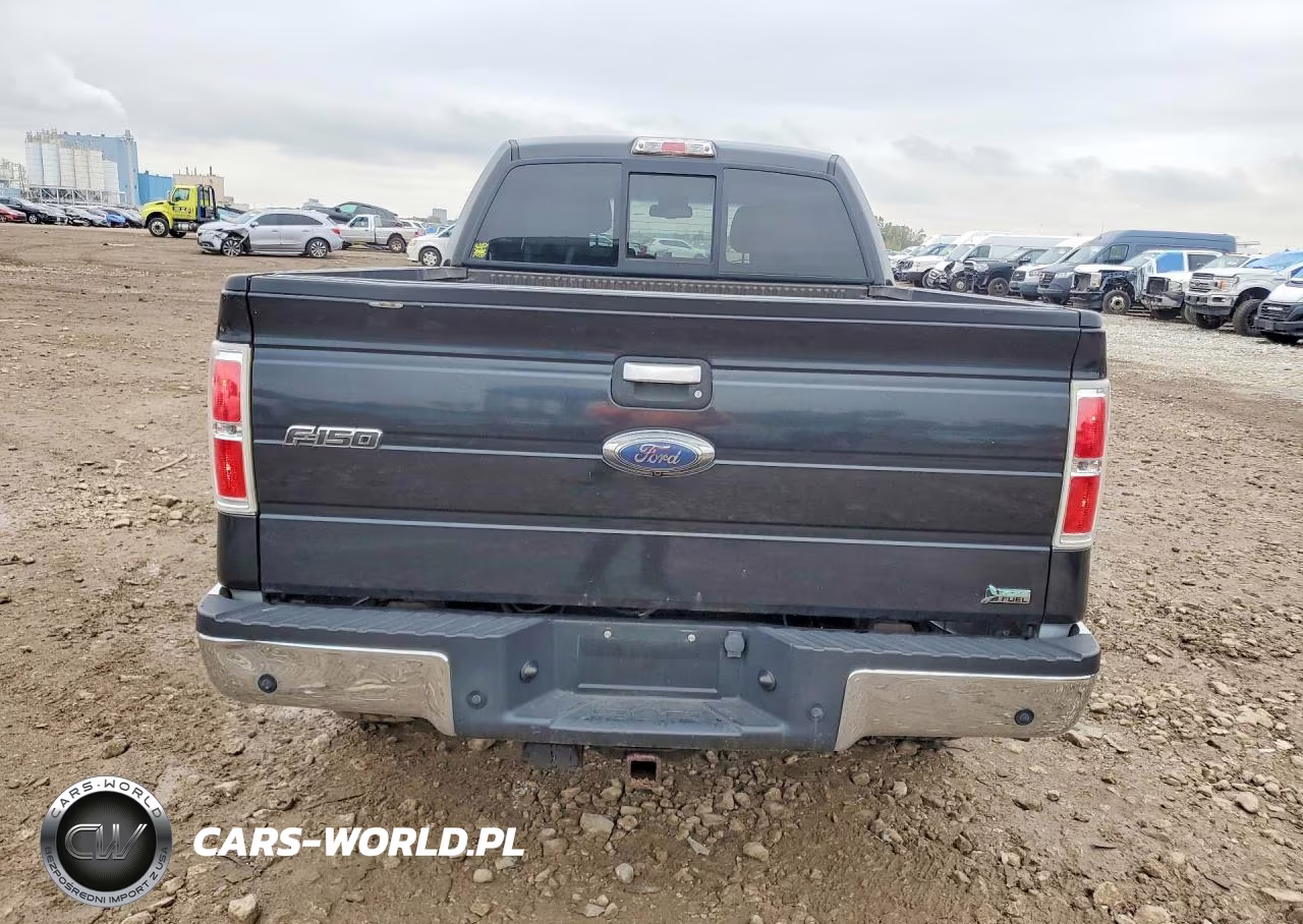 2010 Ford F150 Supercrew VIN:1FTFW1EV3AFD65368 - 6