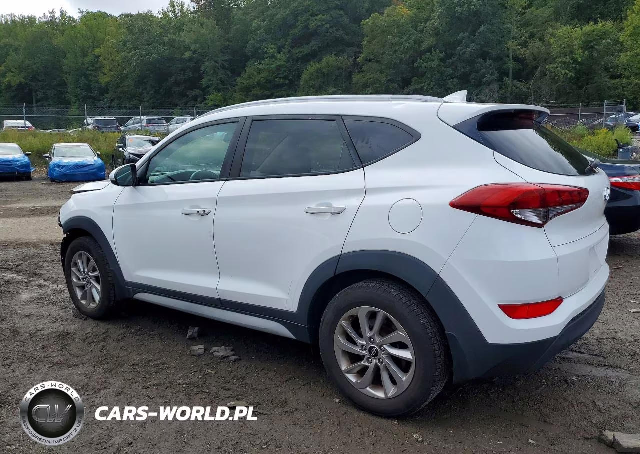 2018 Hyundai Tucson Sel Plus VIN:KM8J33A47JU758647 - 2