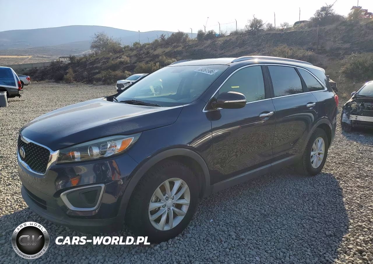 2017 Kia Sorento Lx VIN:5XYPG4A33HG265589 - 1
