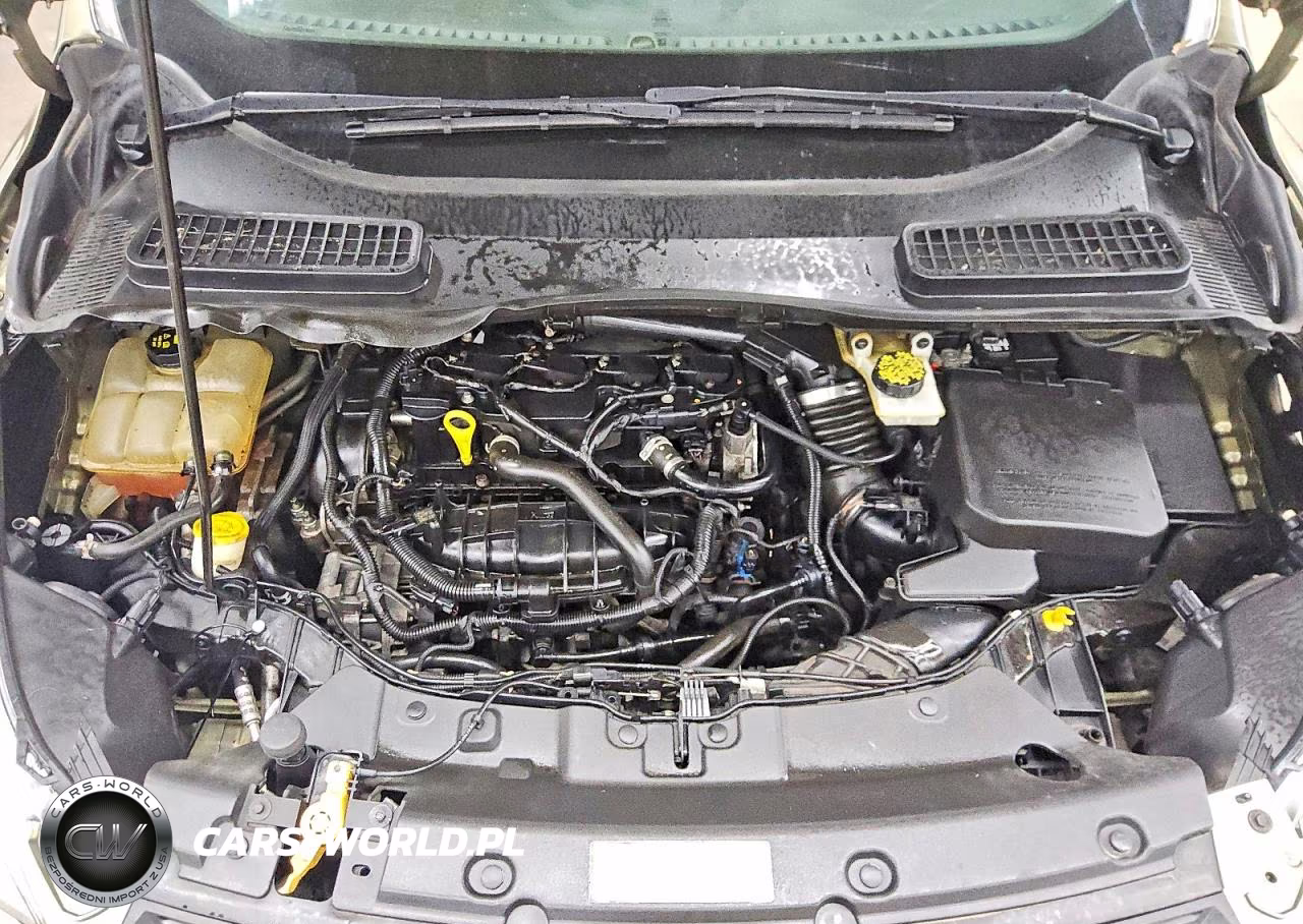 2013 Ford Escape Se VIN:1FMCU0GX9DUA58333 - 11