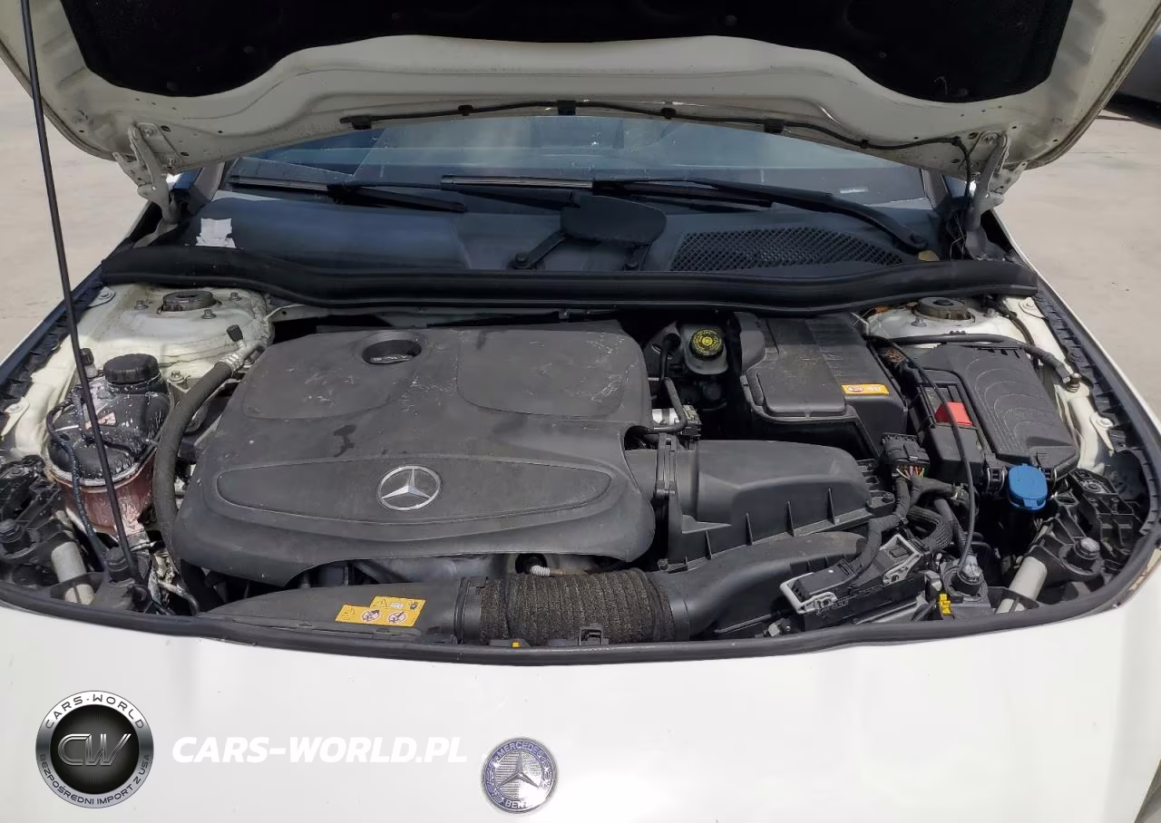 2015 Mercedes-Benz Cla 250 VIN:WDDSJ4EB7FN283117 - 11