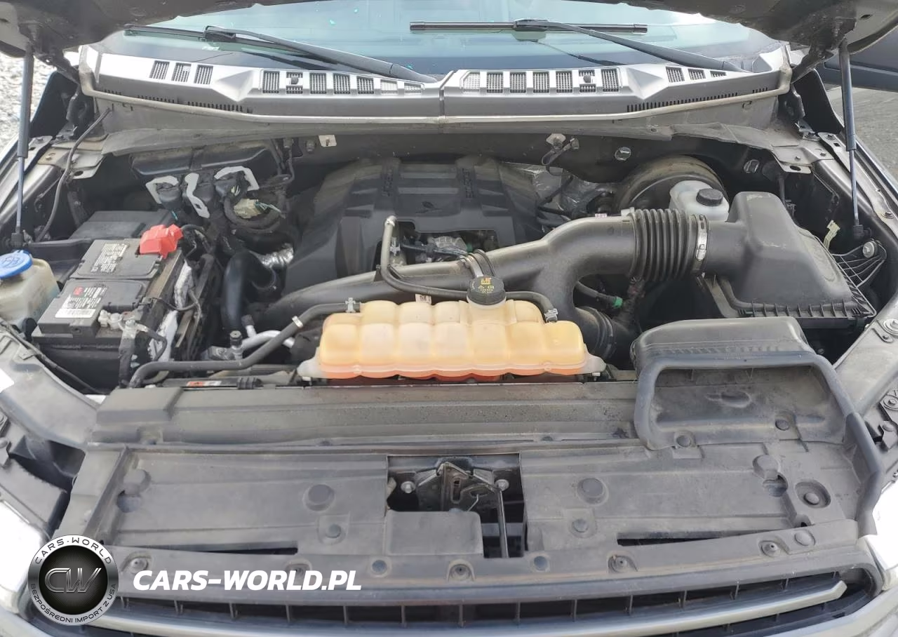 2018 Ford F150 Supercrew VIN:1FTEW1CP0JFC59797 - 11