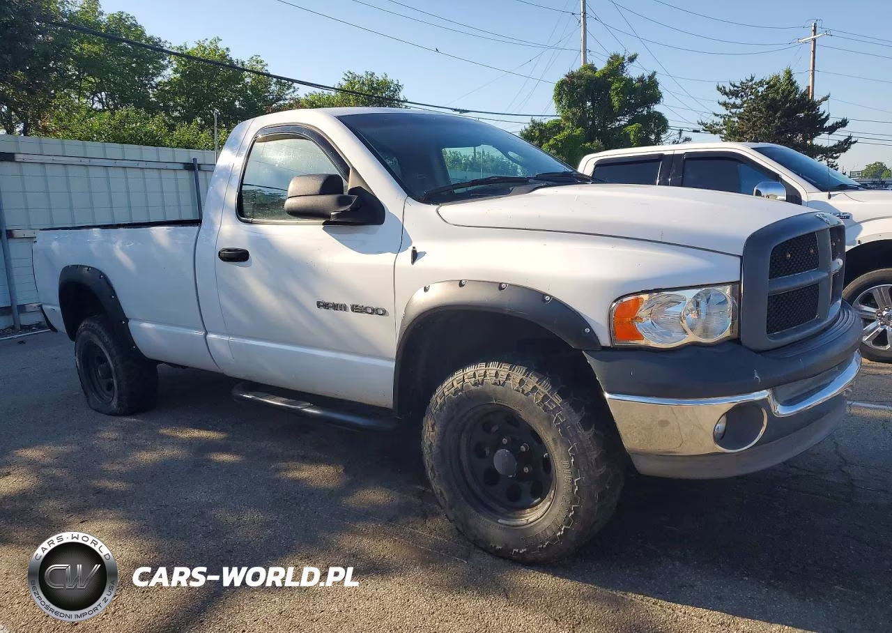 2002 Dodge Ram 1500 VIN:1D7HU16N42J136991 - 4