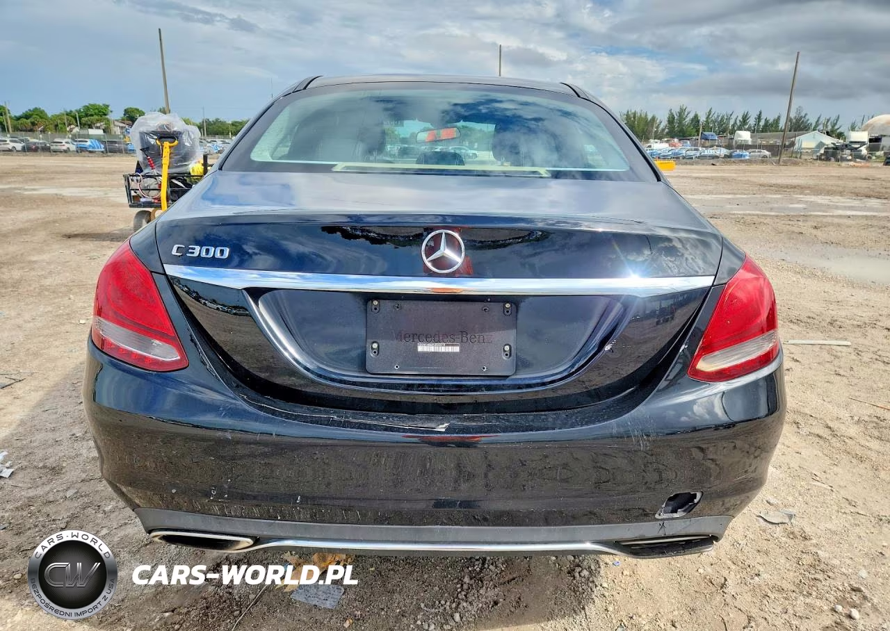 2017 Mercedes-Benz C 300 VIN:55SWF4JB9HU215274 - 6
