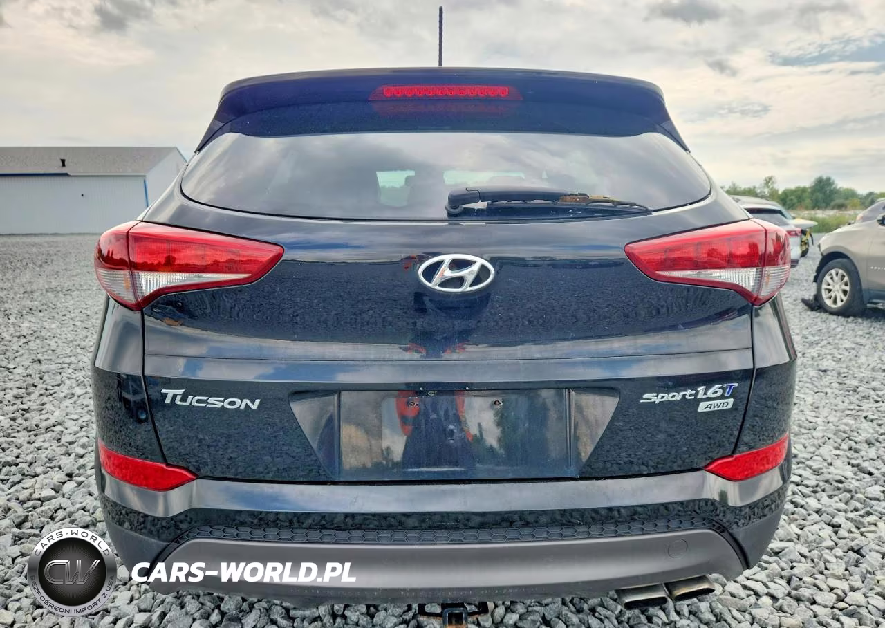2016 Hyundai Tucson Sport VIN:KM8J3CA21GU032211 - 6