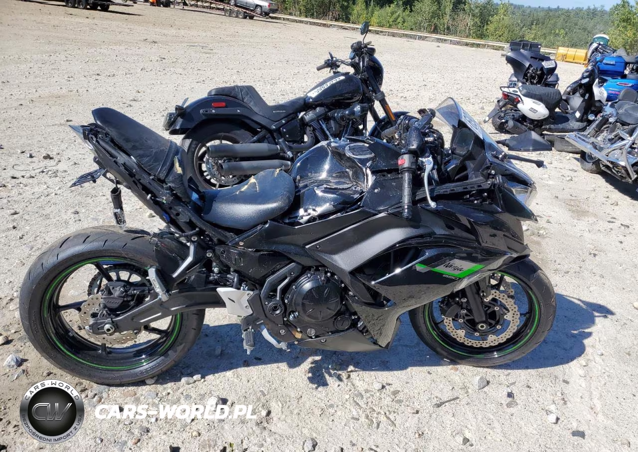 2025 Kawasaki Ex650 R VIN:ML5EXER17SDAF4118 - 1