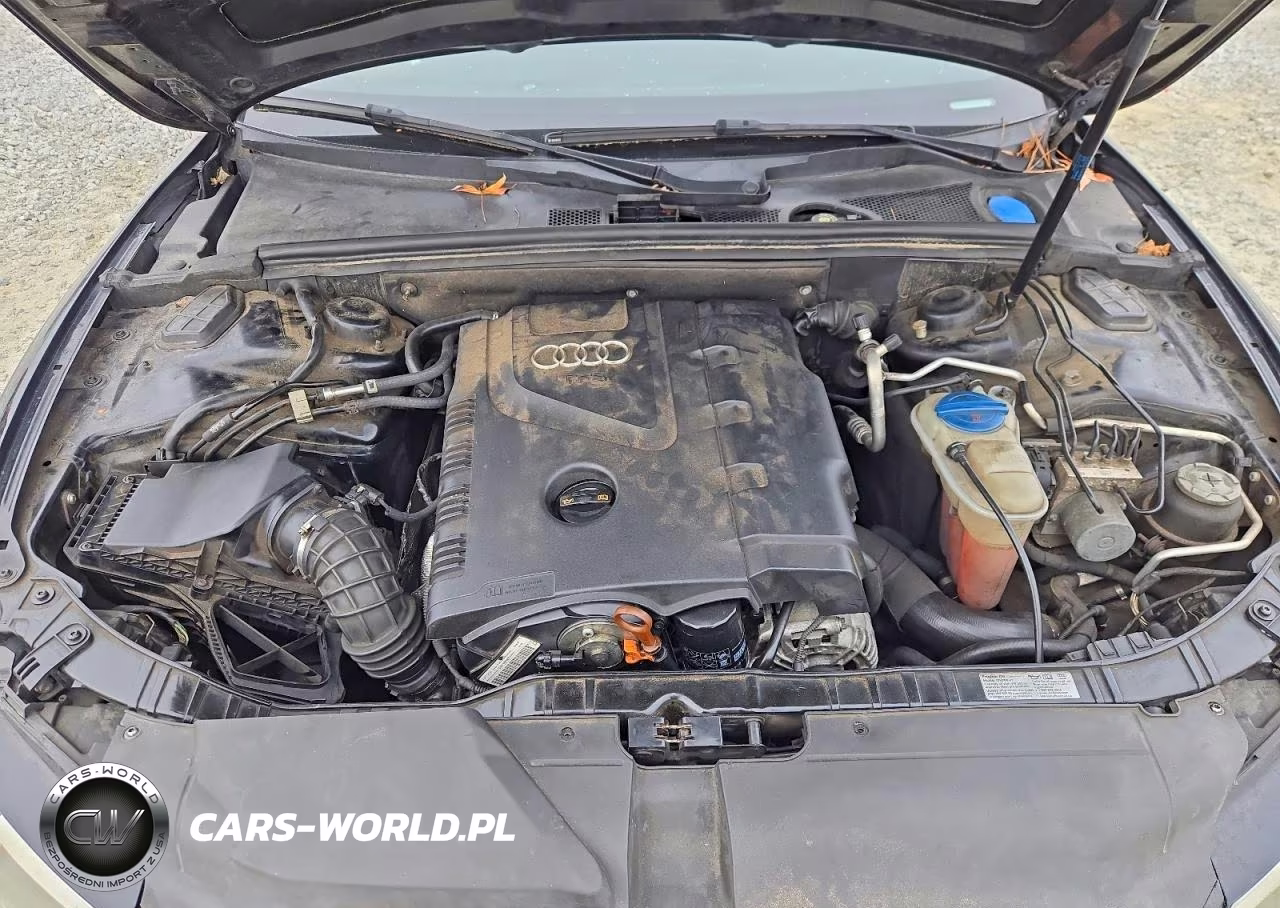 2010 Audi A5 Premium Plus VIN:WAUJFAFH0AN012723 - 11