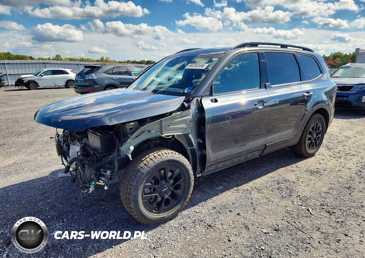 2024 Kia Telluride Sx X-Pro VIN:5XYP5DGC9RG434156 - 1