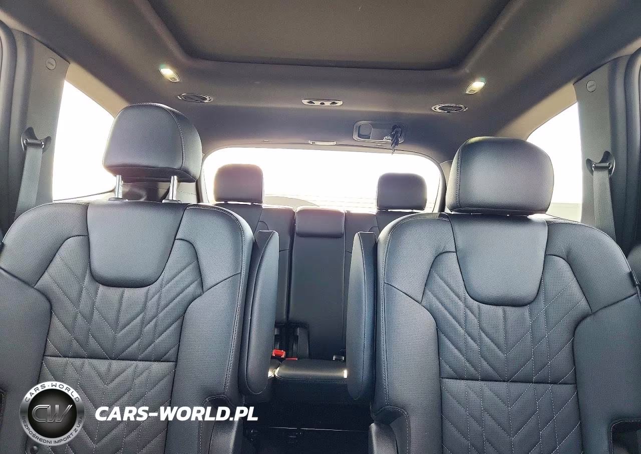 2024 Kia Telluride Sx X-Pro VIN:5XYP5DGC9RG434156 - 10