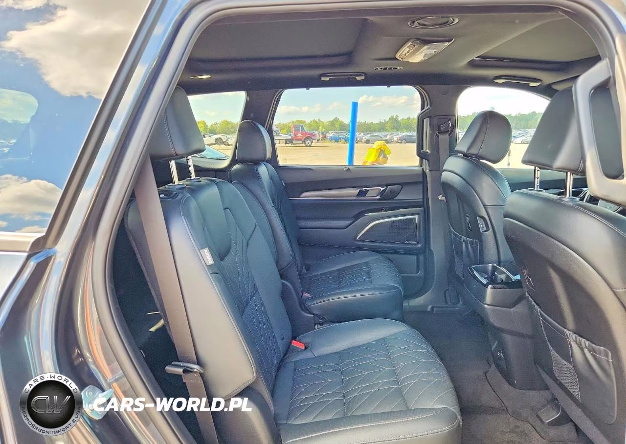 2024 Kia Telluride Sx X-Pro VIN:5XYP5DGC9RG434156 - 11