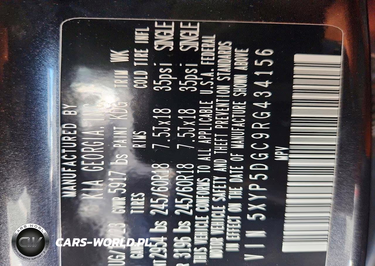 2024 Kia Telluride Sx X-Pro VIN:5XYP5DGC9RG434156 - 13