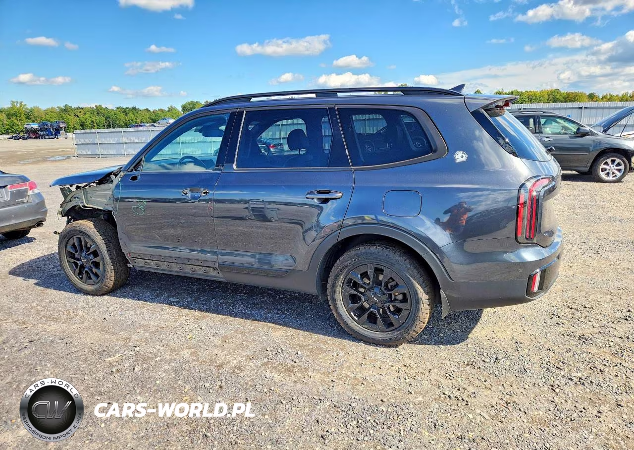 2024 Kia Telluride Sx X-Pro VIN:5XYP5DGC9RG434156 - 2