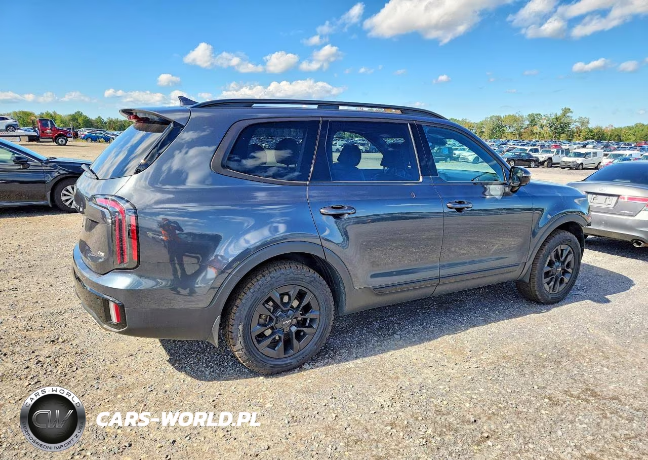 2024 Kia Telluride Sx X-Pro VIN:5XYP5DGC9RG434156 - 3