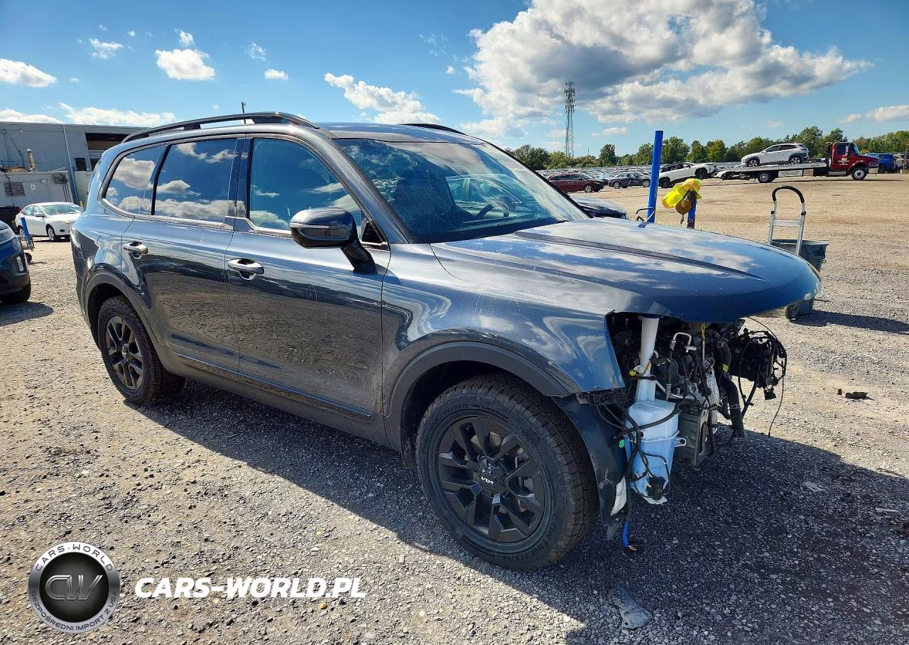2024 Kia Telluride Sx X-Pro VIN:5XYP5DGC9RG434156 - 4