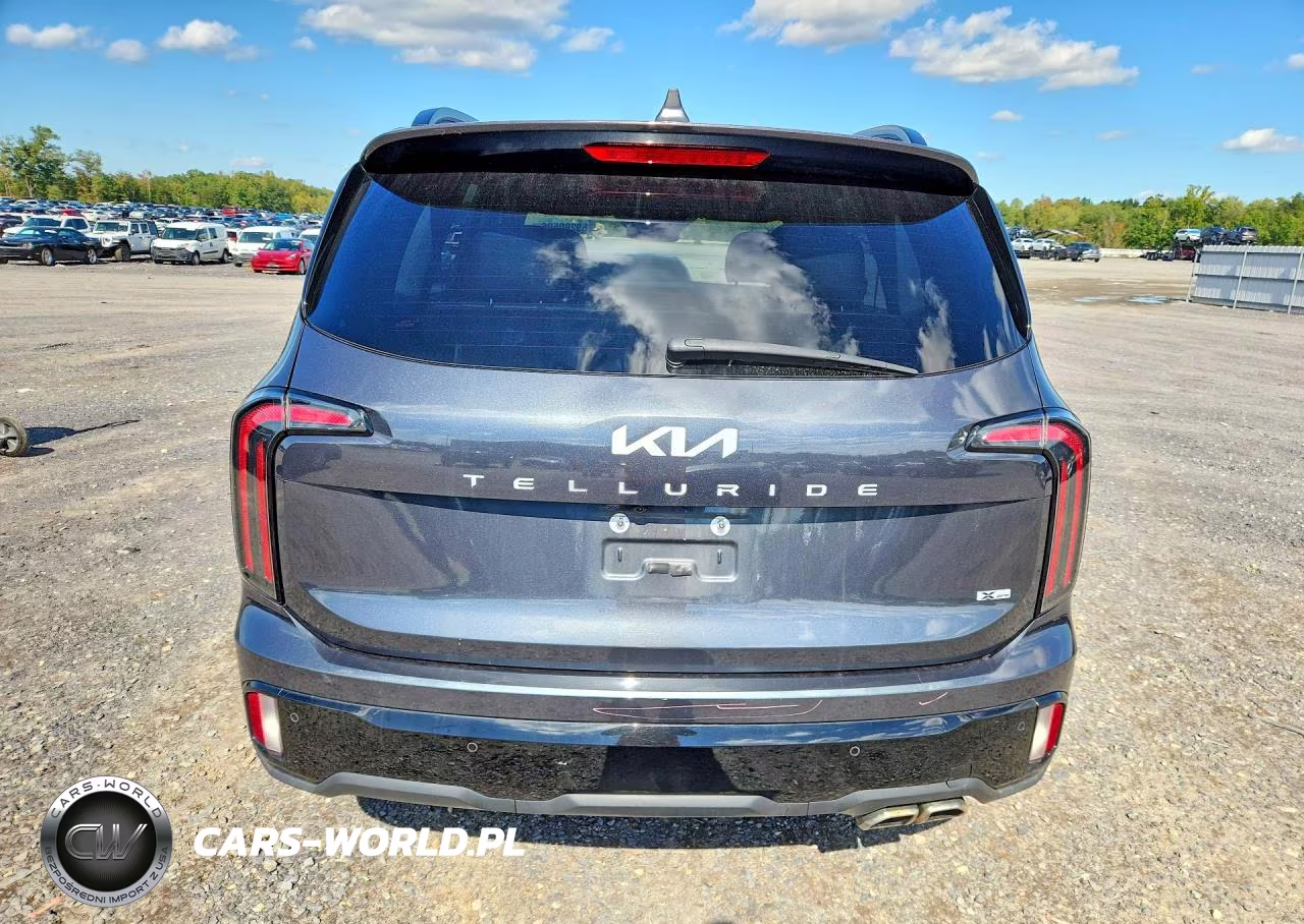 2024 Kia Telluride Sx X-Pro VIN:5XYP5DGC9RG434156 - 6