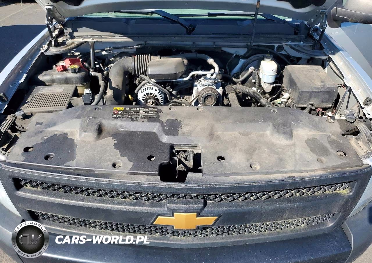 2012 Chevrolet Silverado C1500 VIN:1GCNCPEX4CZ264057 - 11
