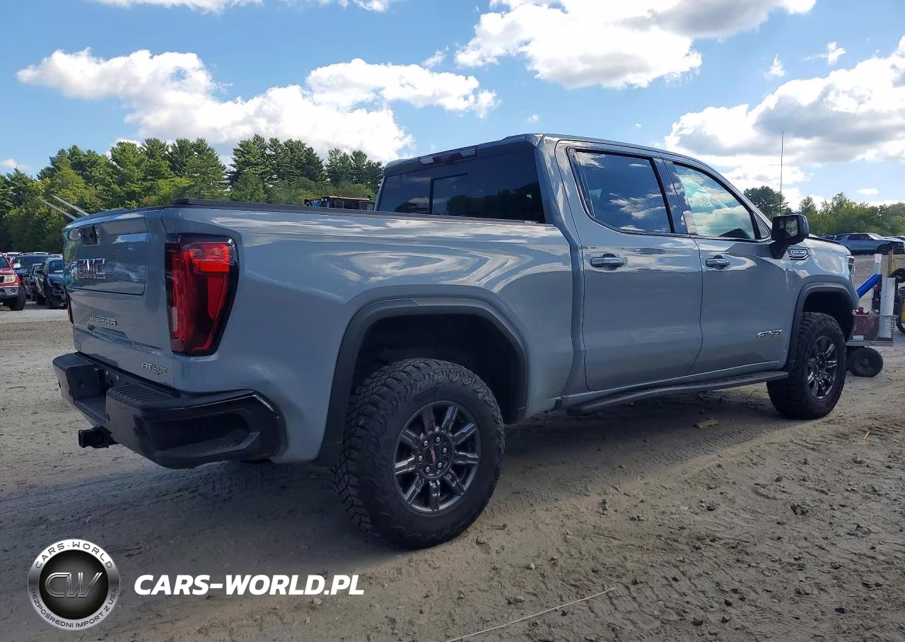 2024 GMC Sierra K1500 At4X VIN:3GTUUFEL3RG283580 - 3