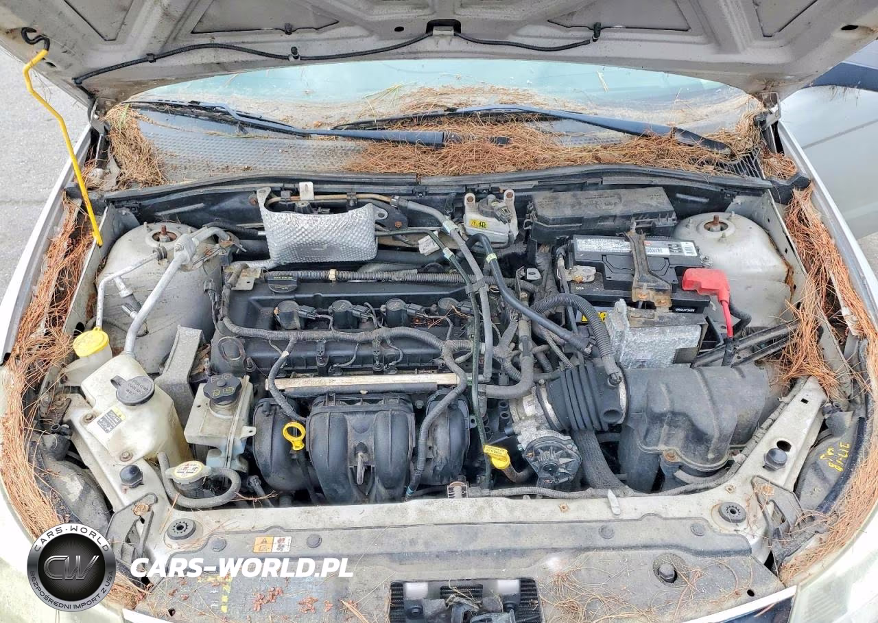 2009 Ford Focus Se VIN:1FAHP35N69W155012 - 11