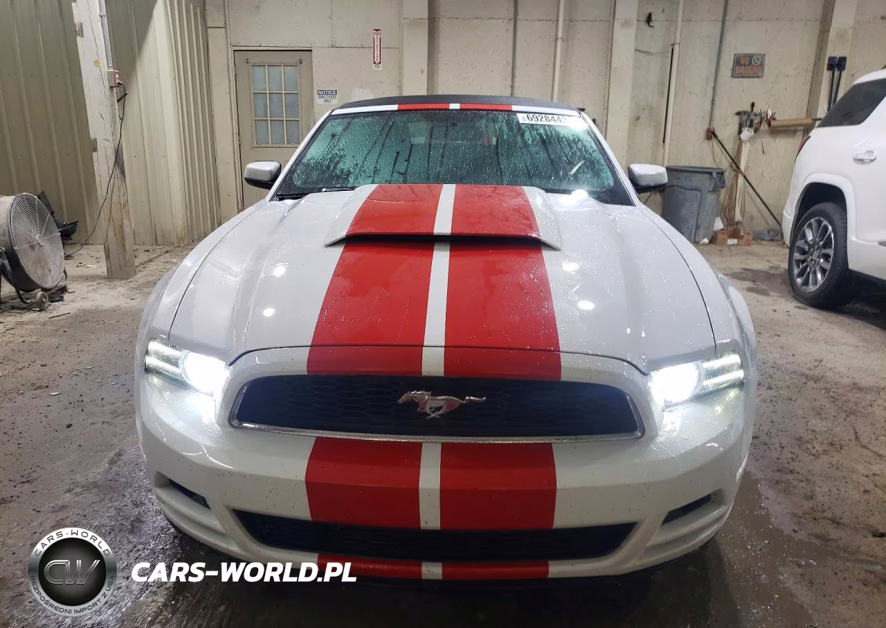 2014 Ford Mustang VIN:1ZVBP8EM6E5289620 - 5