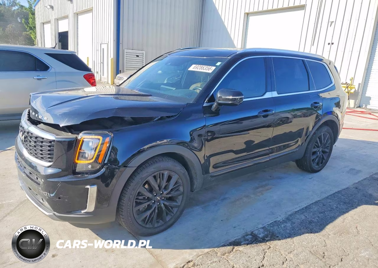 2022 Kia Telluride Sx VIN:5XYP54HC8NG253526 - 1