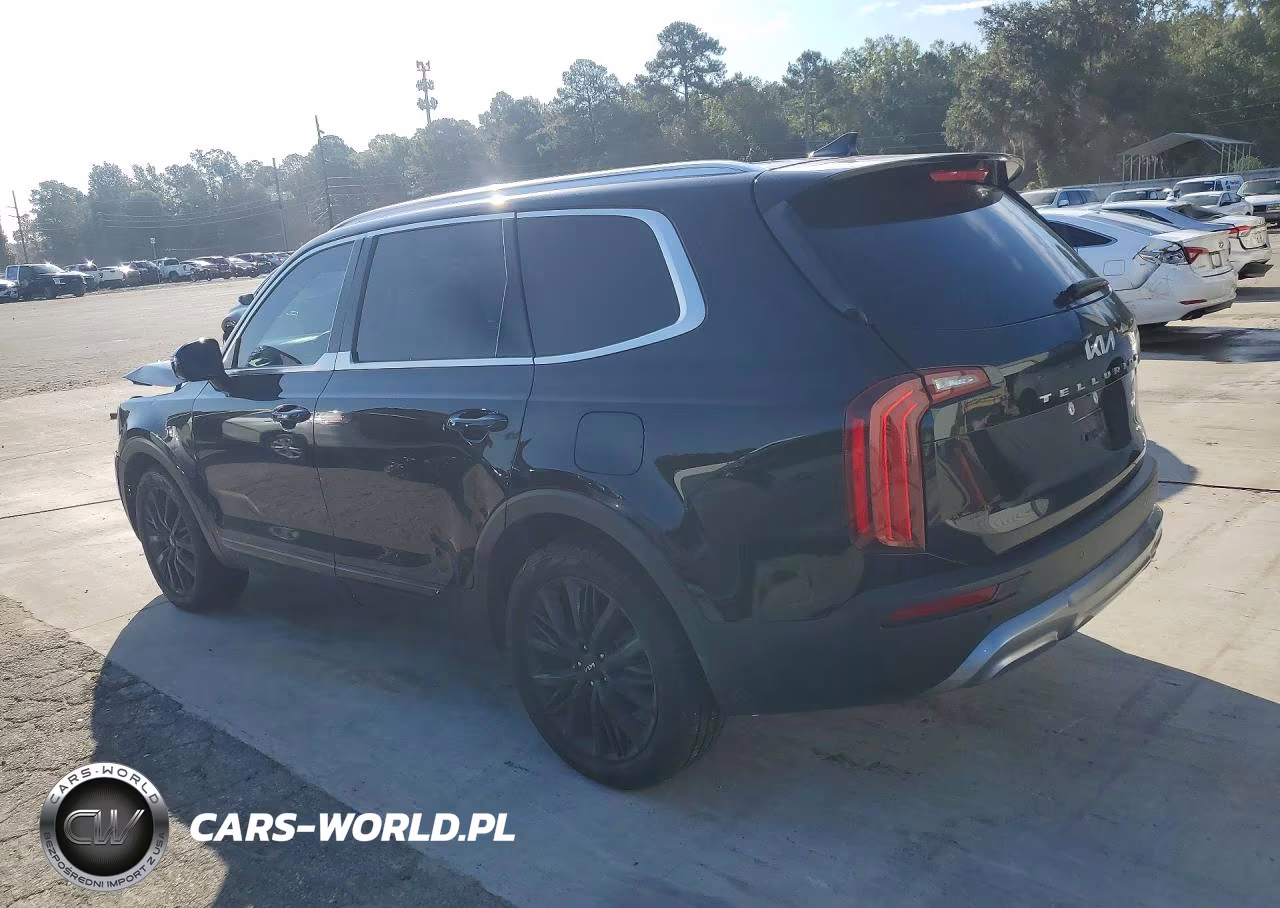 2022 Kia Telluride Sx VIN:5XYP54HC8NG253526 - 2