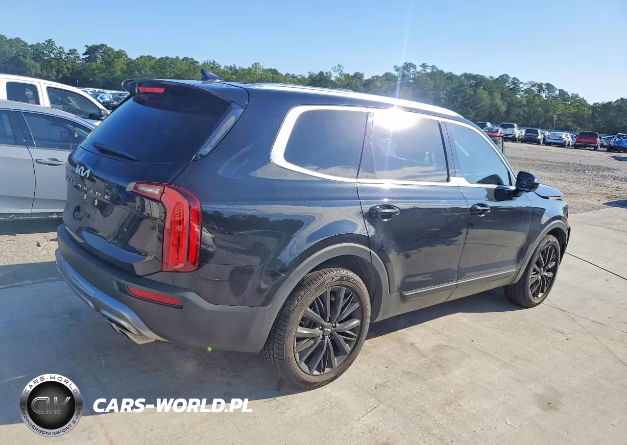 2022 Kia Telluride Sx VIN:5XYP54HC8NG253526 - 3