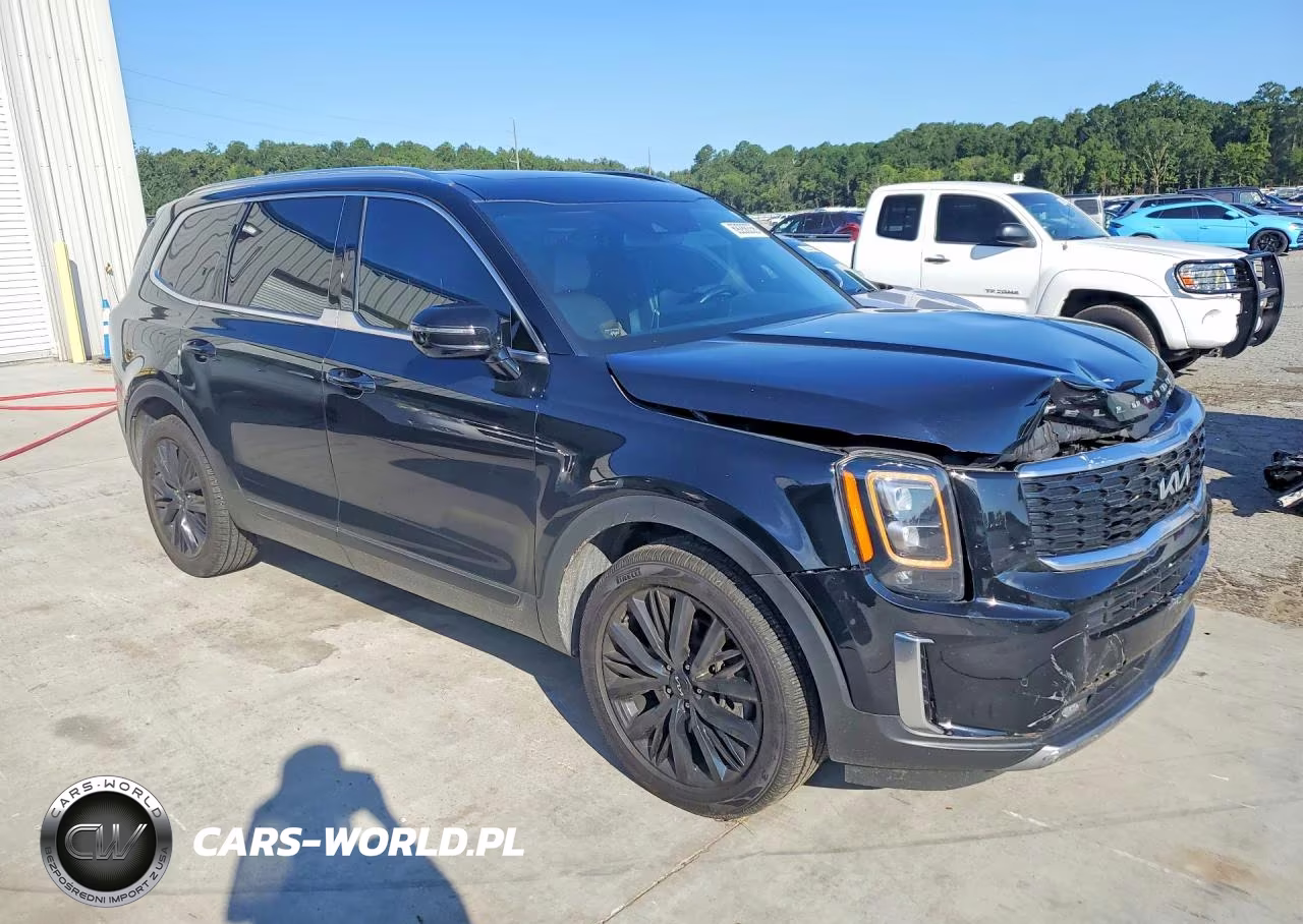 2022 Kia Telluride Sx VIN:5XYP54HC8NG253526 - 4