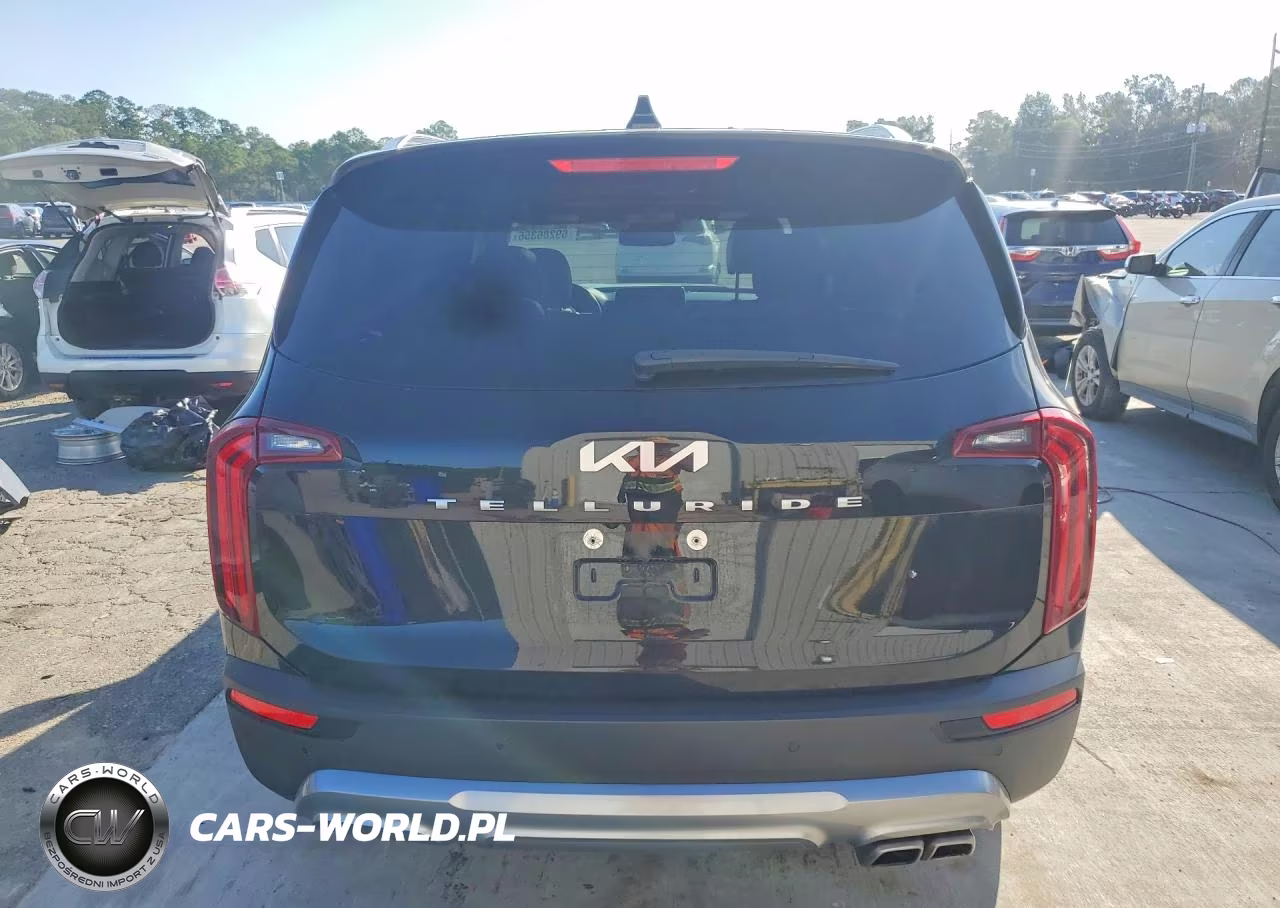 2022 Kia Telluride Sx VIN:5XYP54HC8NG253526 - 6