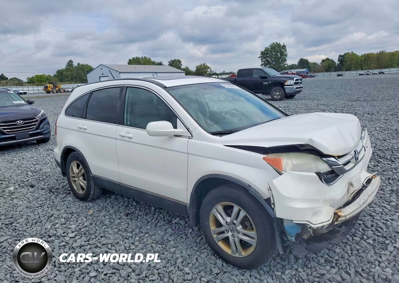 2010 Honda Cr-V Exl VIN:5J6RE4H75AL000359 - 4