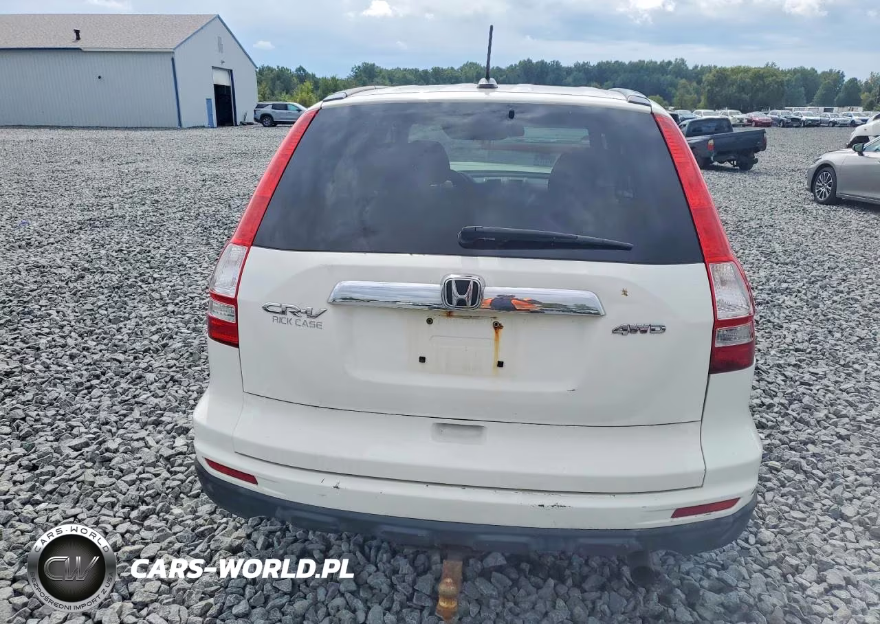 2010 Honda Cr-V Exl VIN:5J6RE4H75AL000359 - 6