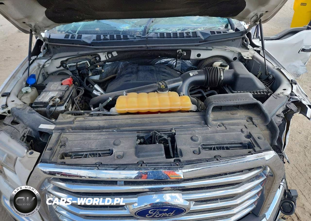 2016 Ford F150 Supercrew VIN:1FTEW1CG6GKF64141 - 11