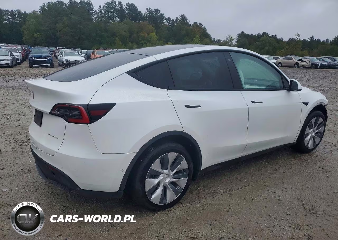 2020 Tesla Model Y VIN:5YJYGDEE8LF049477 - 3
