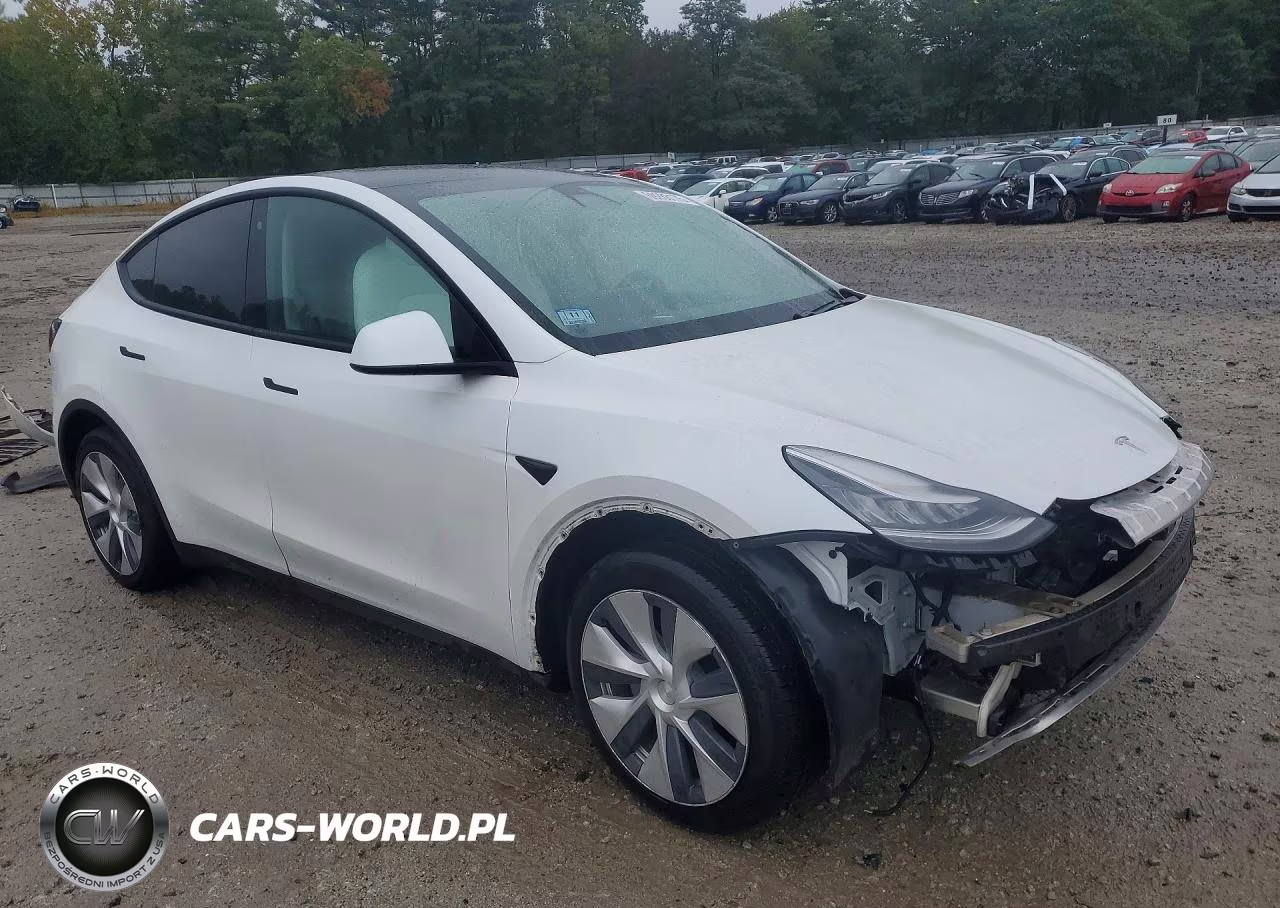 2020 Tesla Model Y VIN:5YJYGDEE8LF049477 - 4