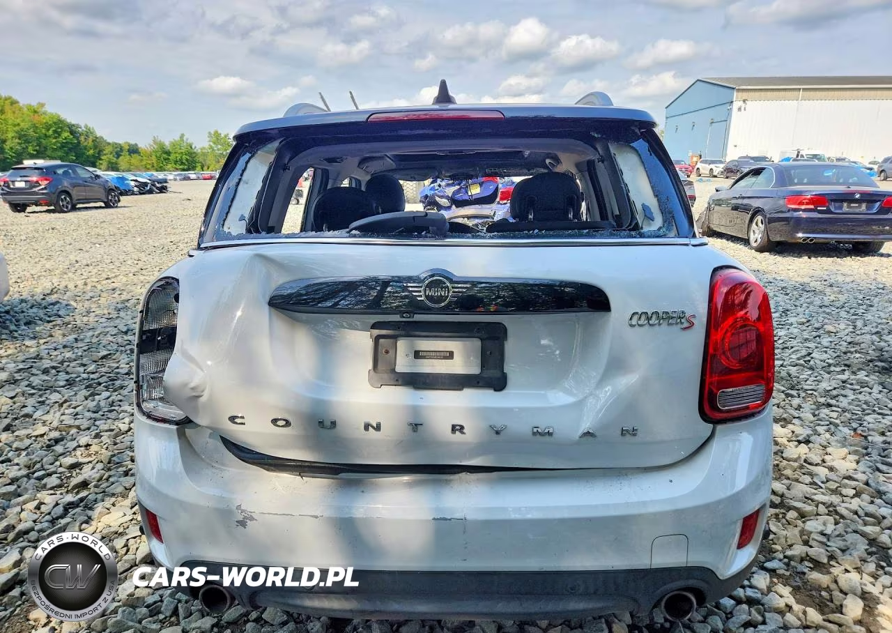 2019 Mini Cooper S Countryman All4 VIN:WMZYT5C54K3J88182 - 6