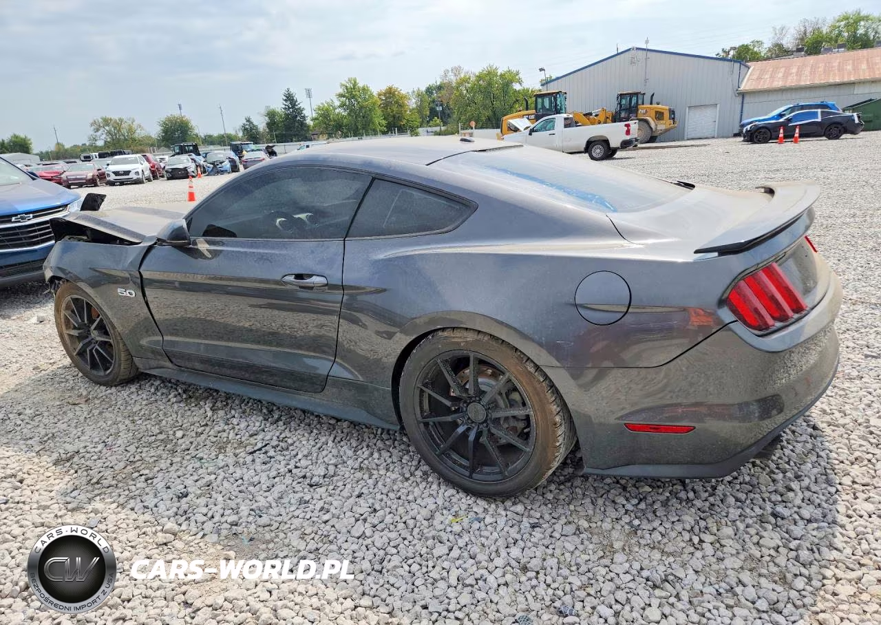 2017 Ford Mustang Gt VIN:1FA6P8CF7H5259397 - 2