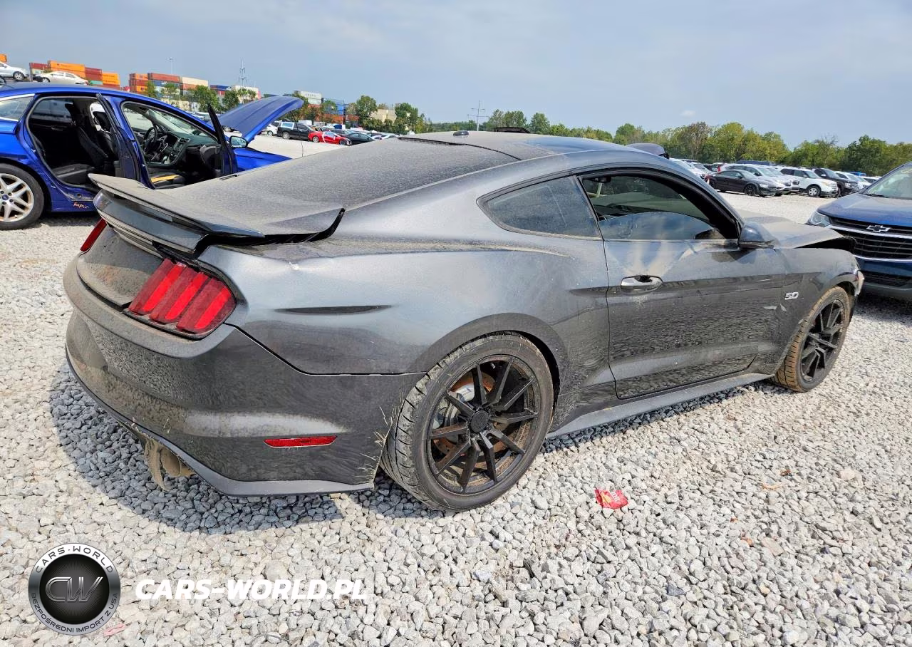 2017 Ford Mustang Gt VIN:1FA6P8CF7H5259397 - 3