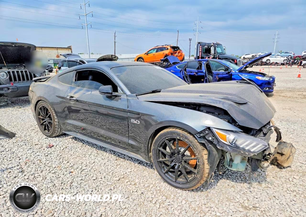 2017 Ford Mustang Gt VIN:1FA6P8CF7H5259397 - 4
