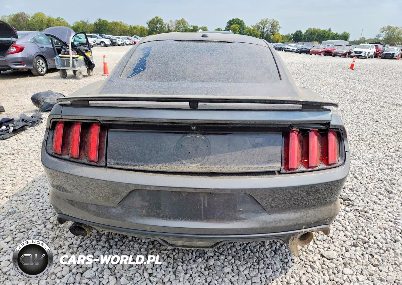 2017 Ford Mustang Gt VIN:1FA6P8CF7H5259397 - 6