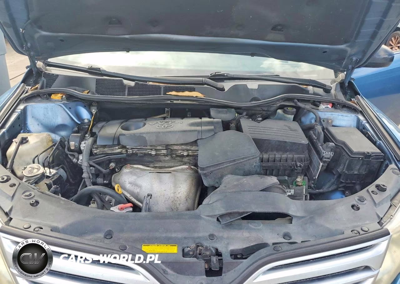 2010 Toyota Venza Fwd 4Cyl VIN:4T3ZA3BB8AU033961 - 12