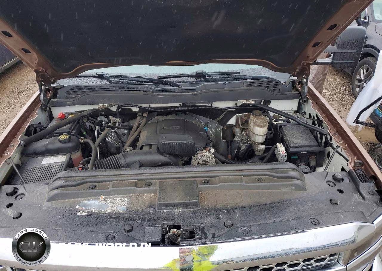 2019 Chevrolet Silverado C2500 Heavy Duty VIN:2GC2CREG6K1119785 - 11
