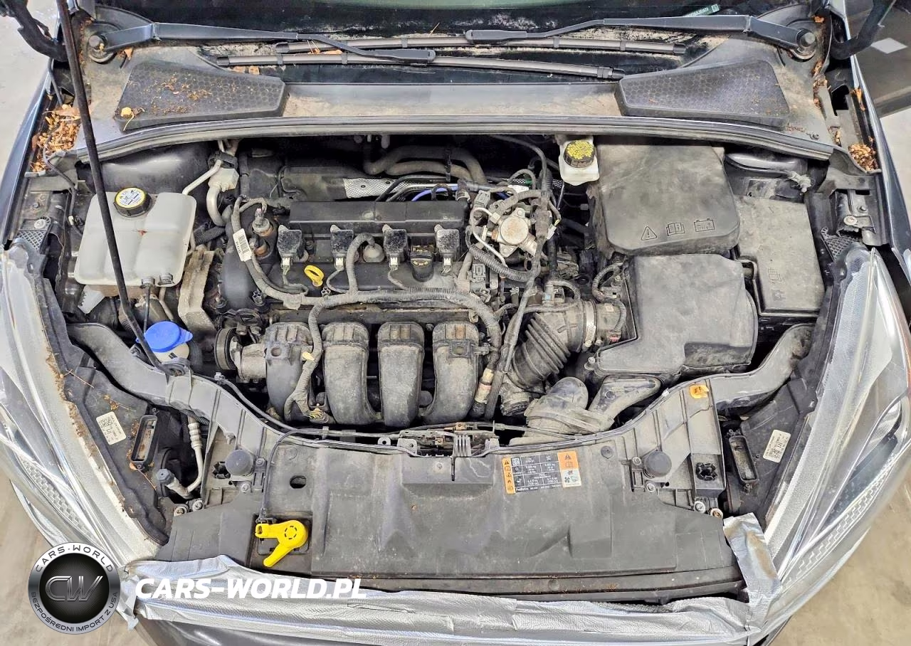 2018 Ford Focus Se VIN:1FADP3F28JL251670 - 11